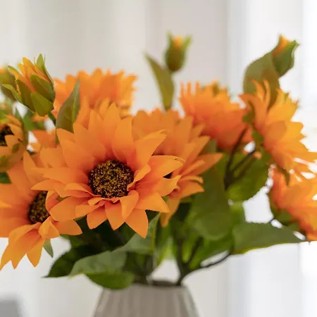 شقة Dimore Tavolara